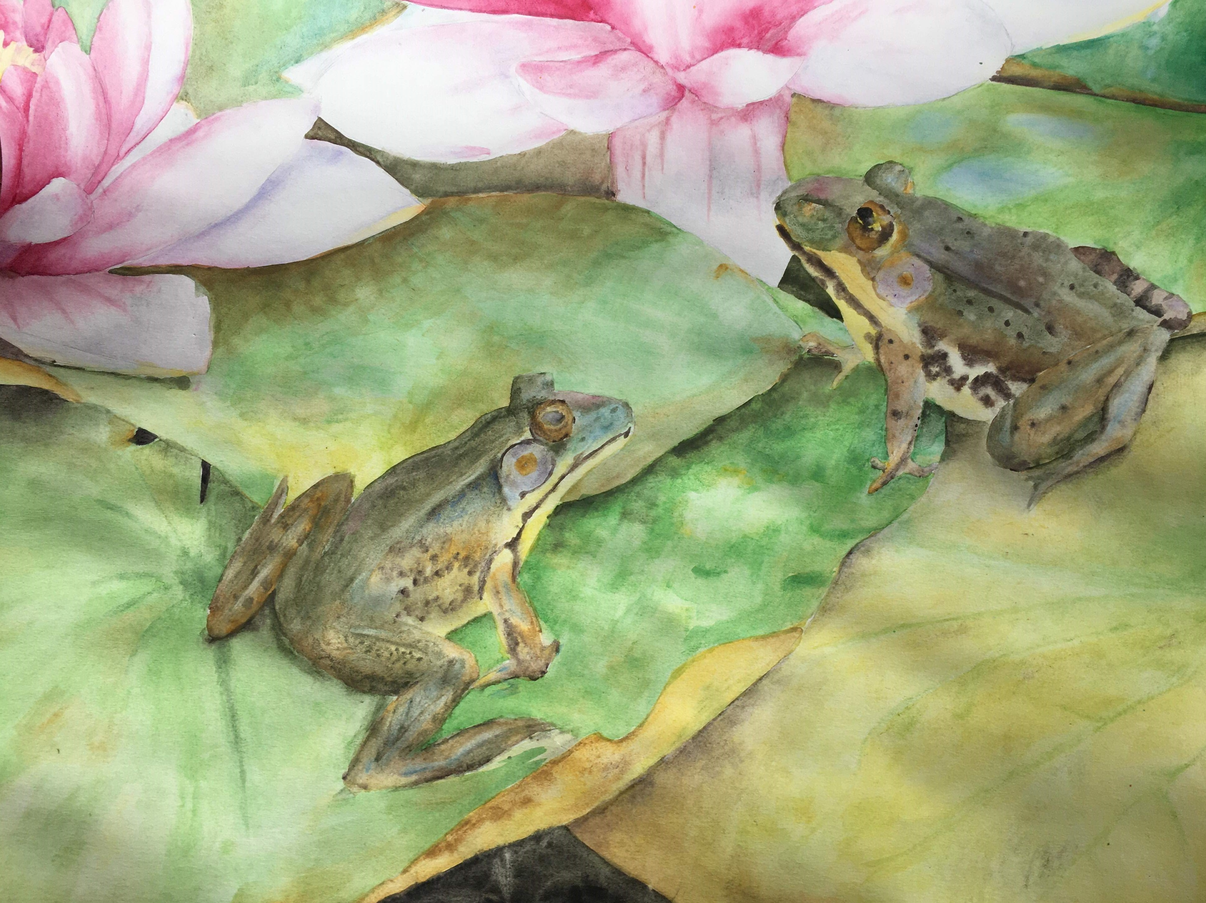 Francesca Brown's "Watercolor Frogs"