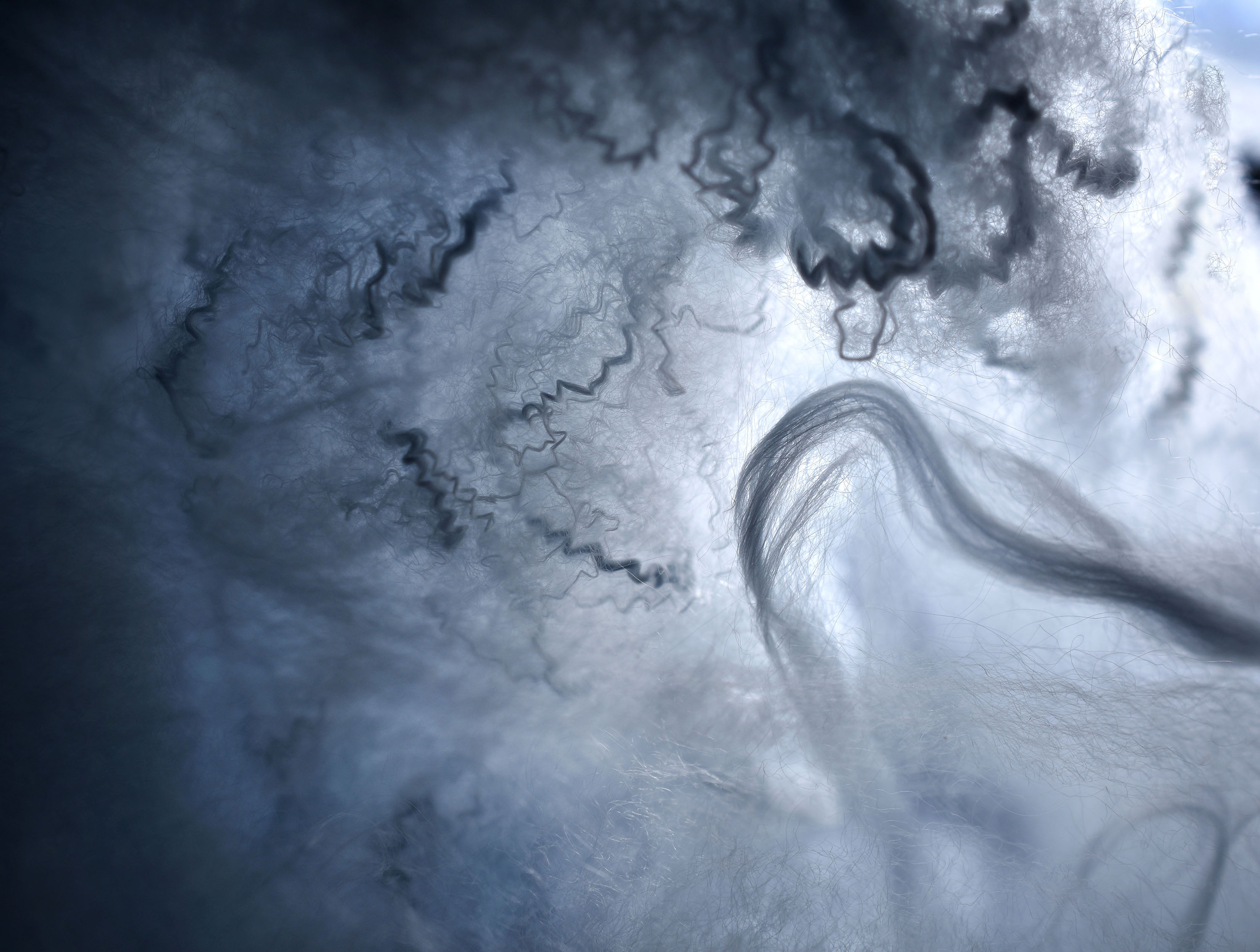 Madyn LaFleur's "Cotton Storm"
