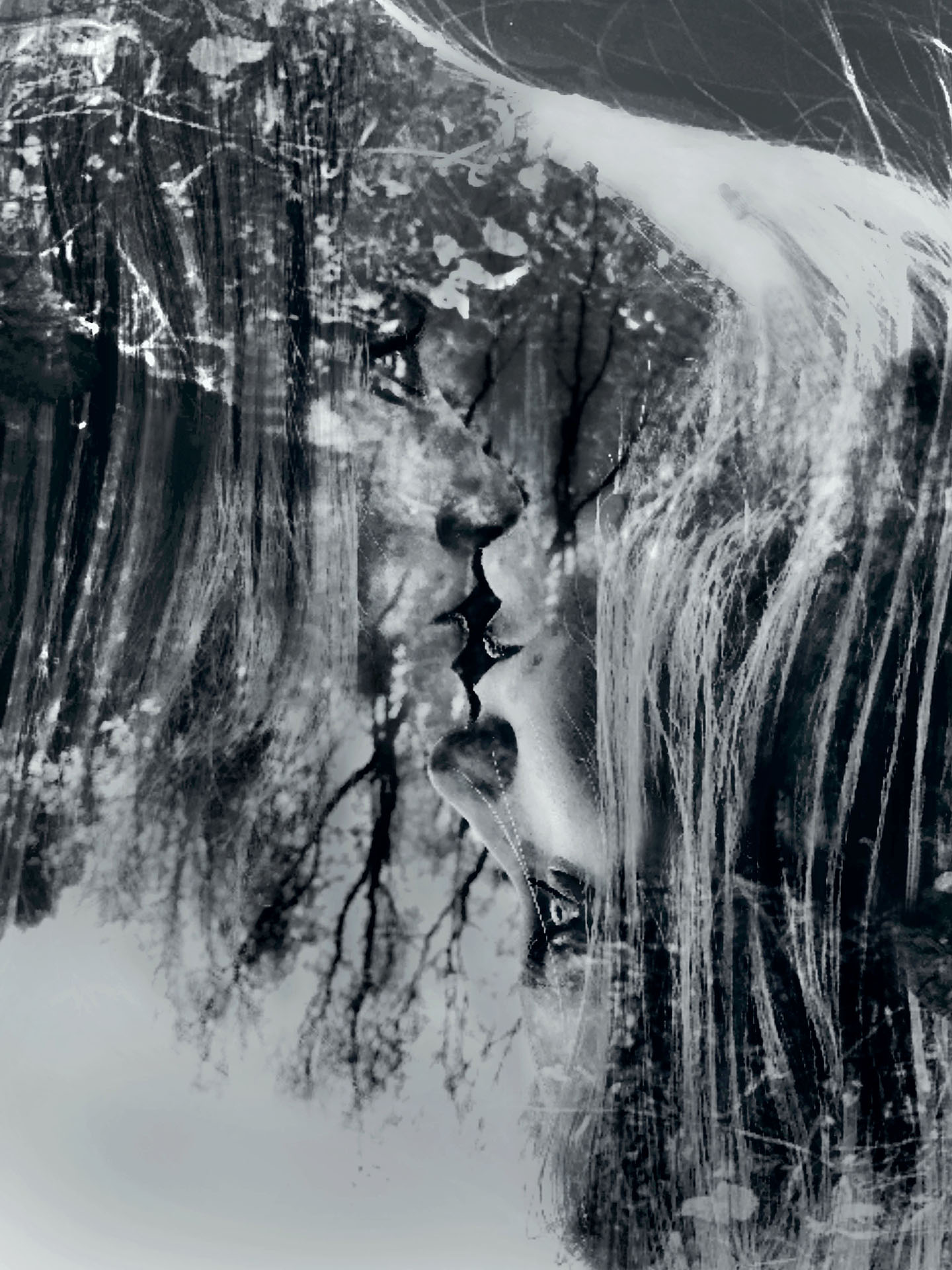 Tiffani McMahon's "Chamber of Reflection"