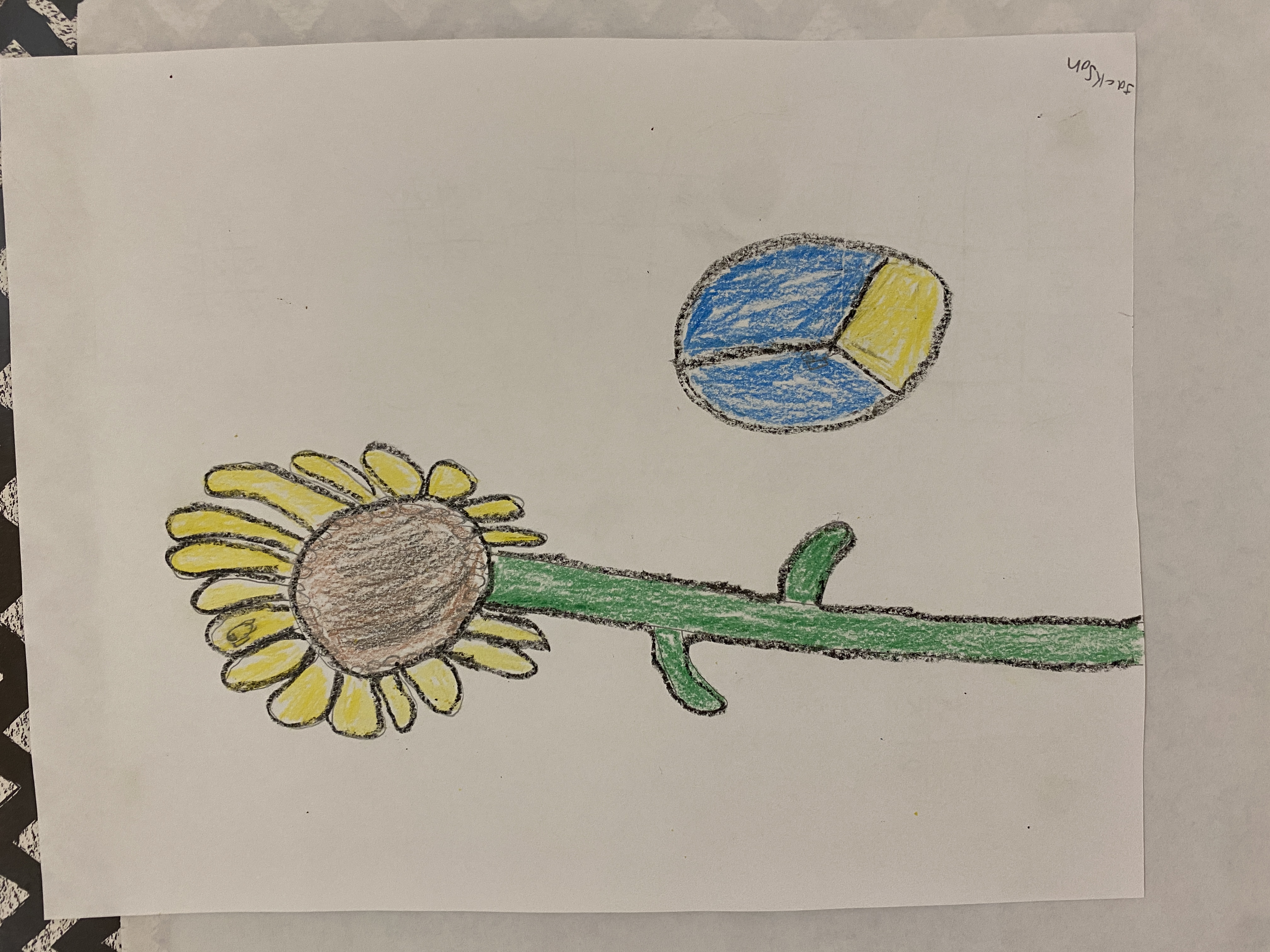 ELL students write a fictional story to show support for Ukraine