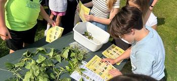 Sixth-graders Enjoy Conservation Fields Days