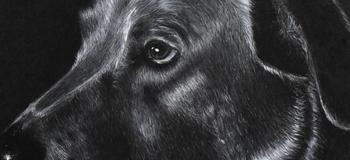 Jordan-Elbridge High School Students Shine with 16 Scholastic Art Awards